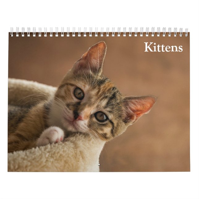 Calendario Kittens 2025 (Tapa)