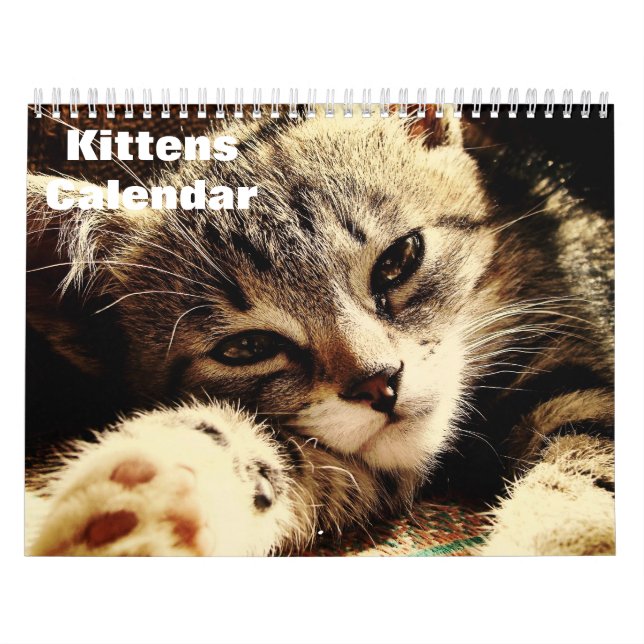 Calendario Kittens 2025 (Tapa)