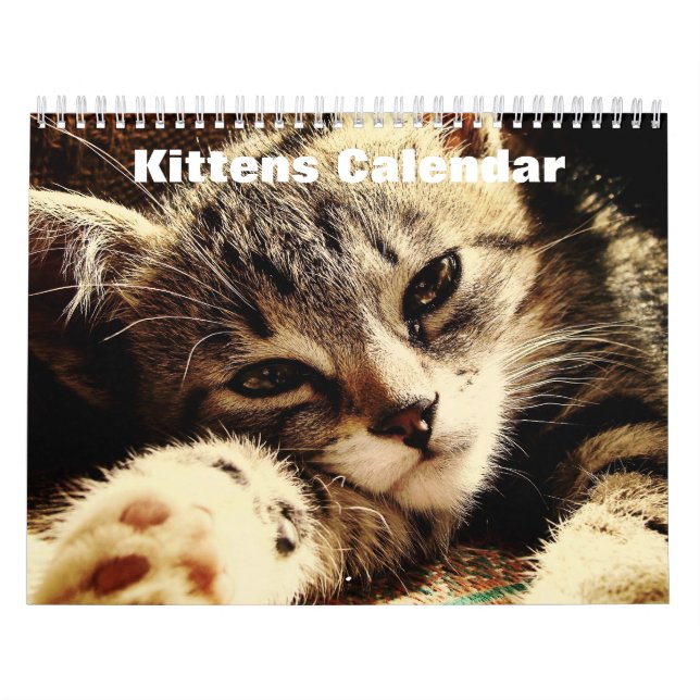 Calendario Kittens 2025 (Tapa)