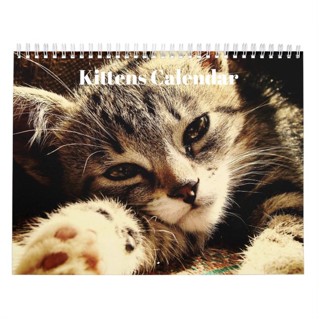 Calendario Kittens Bengal 2023 (Tapa)
