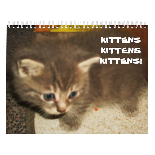 CALENDARIO KITTENS, KITTENS, KITTENS! (Tapa)