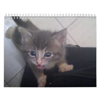 calendario kittty