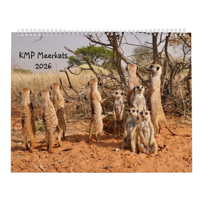 Calendario KMP Meerkats 2026 Calendar (Tapa)