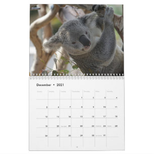 Calendario Koala
