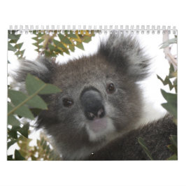 Calendario Koala