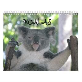 Calendario Koala