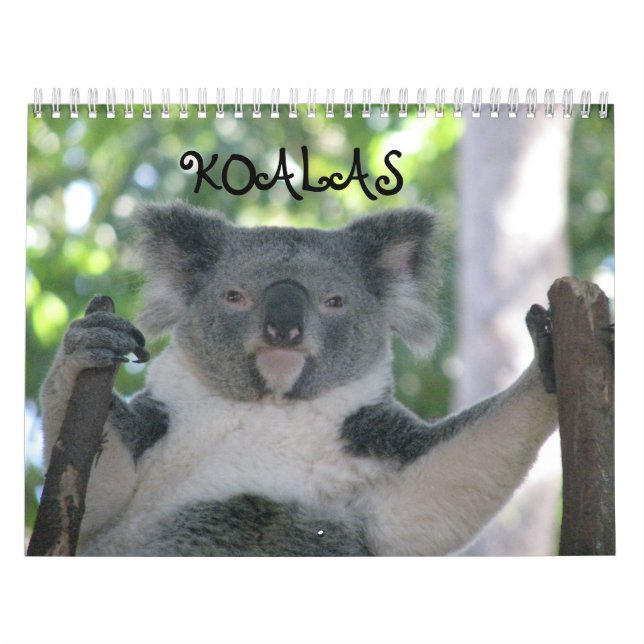 Calendario Koala (Tapa)