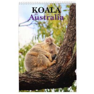 CALENDARIO KOALA AUSTRALIA
