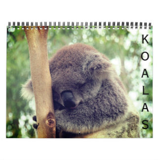 Calendario koalas 2025
