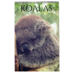 Calendario koalas australianas 2025
