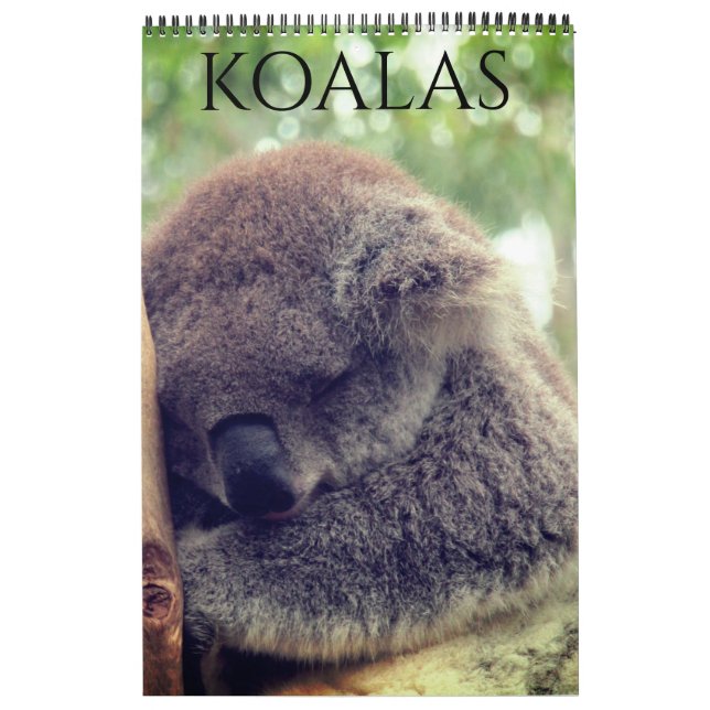 Calendario koalas australianas 2025 (Tapa)