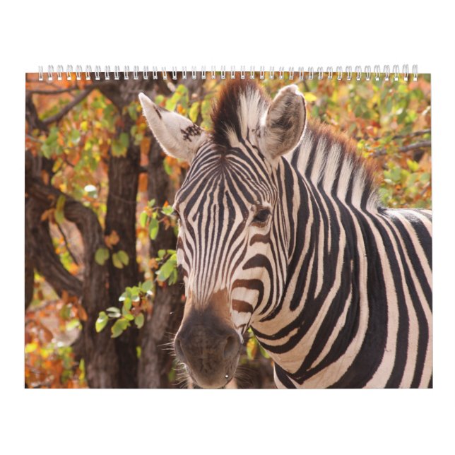 Calendario La belleza de África (Tapa)