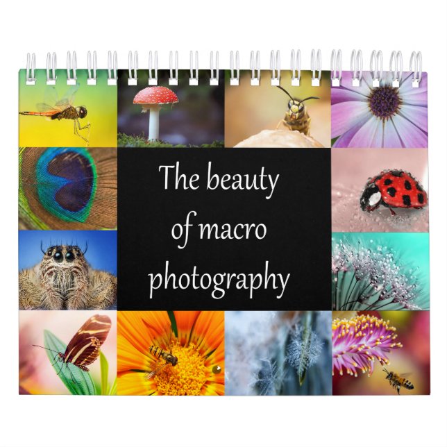Calendario La belleza de la fotografía macra (Tapa)