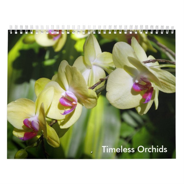 Calendario La belleza de las orquídeas (Tapa)