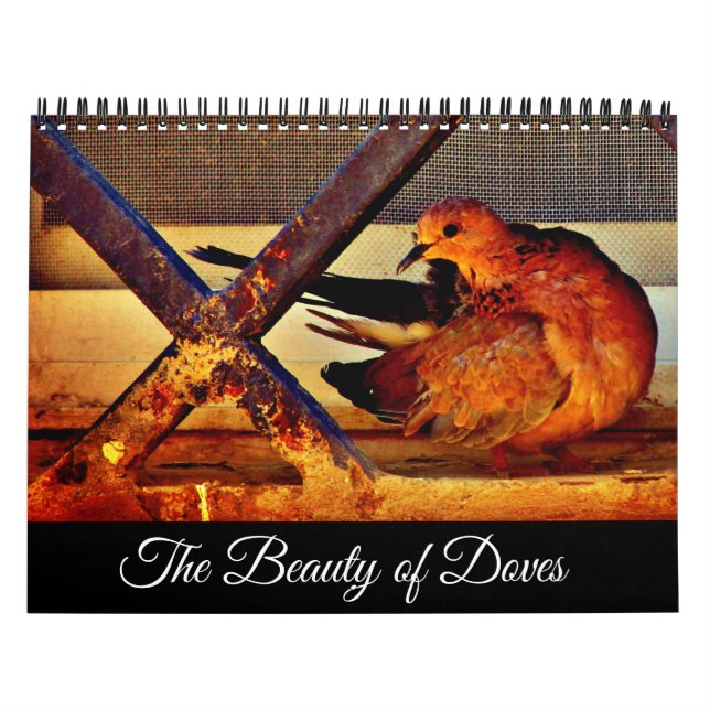 Calendario La belleza de las palomas (Tapa)