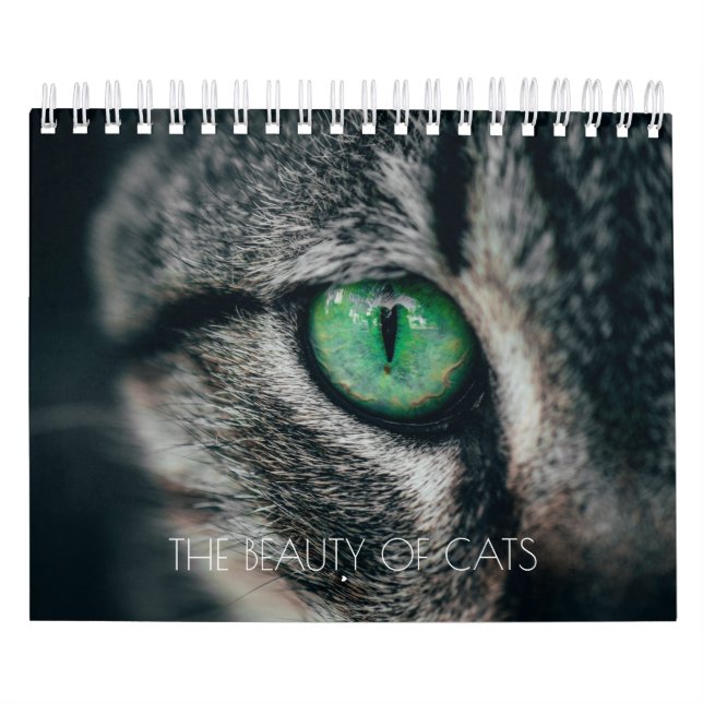 CALENDARIO "LA BELLEZA DE LOS GATOS" (Tapa)
