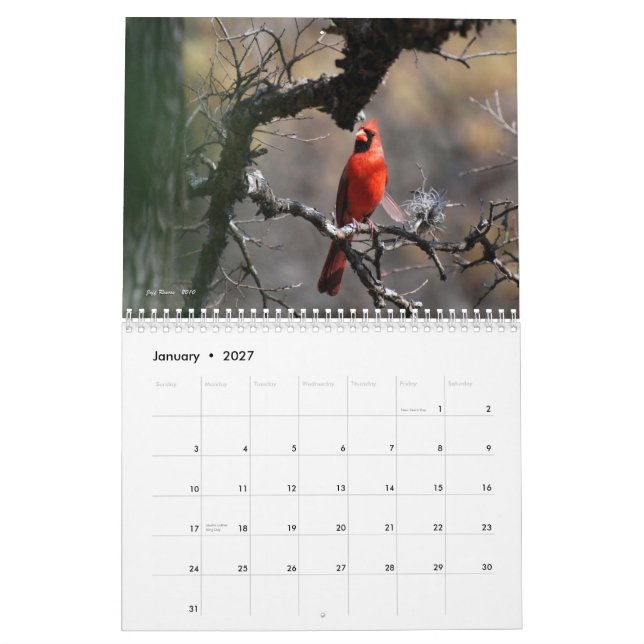 Calendario La belleza natural 2011 de Tejas (Jan 2027)