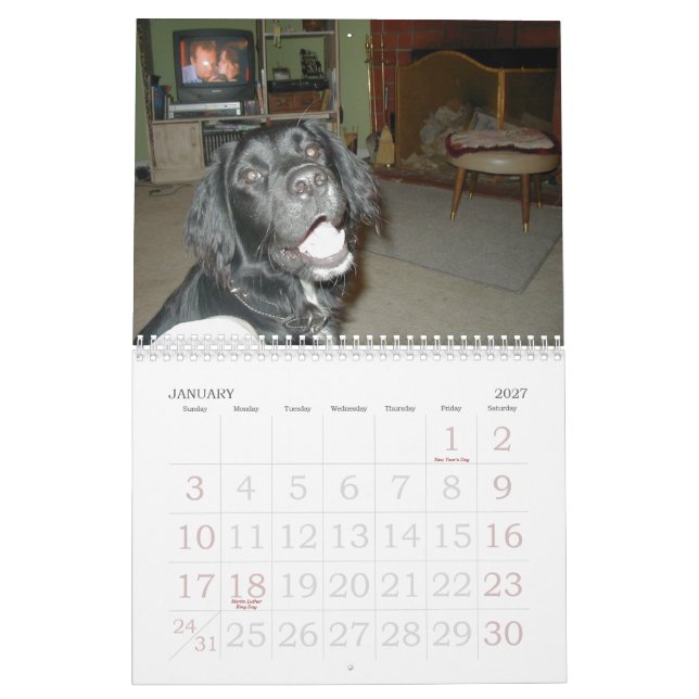 Calendario La familia de Cicoletti (Jan 2027)