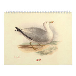 Calendario La gaviota litografía - de pájaros de Nueva York -