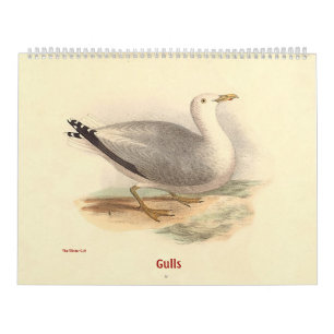 Calendario La gaviota litografía - de pájaros de Nueva York -