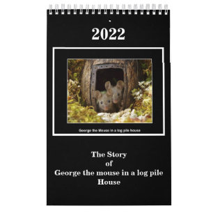 Calendario La historia de George el ratón en un montón de t