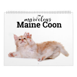 Calendario La maravillosa calénder de Maine Coon