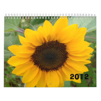 Calendario La Srta. Molly Photography Calendar