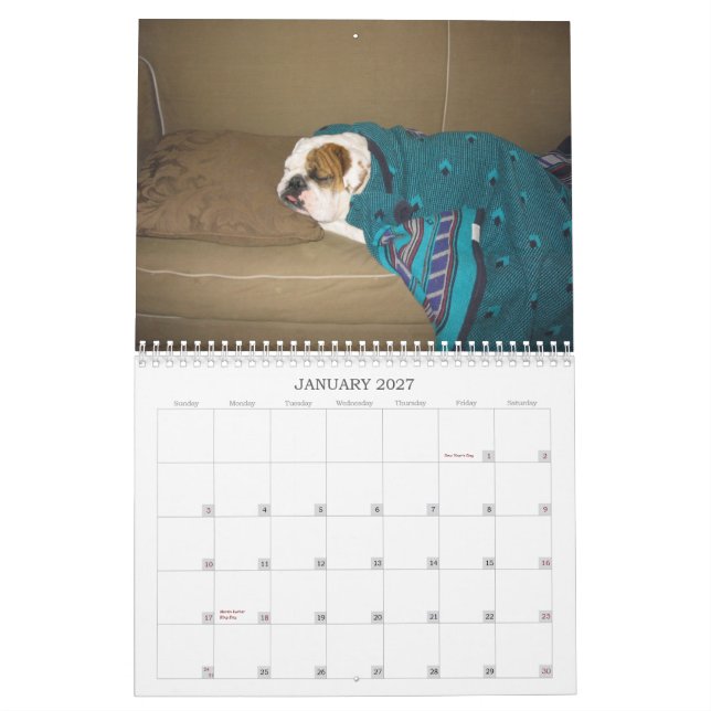 Calendario La vida de un perro (Jan 2027)
