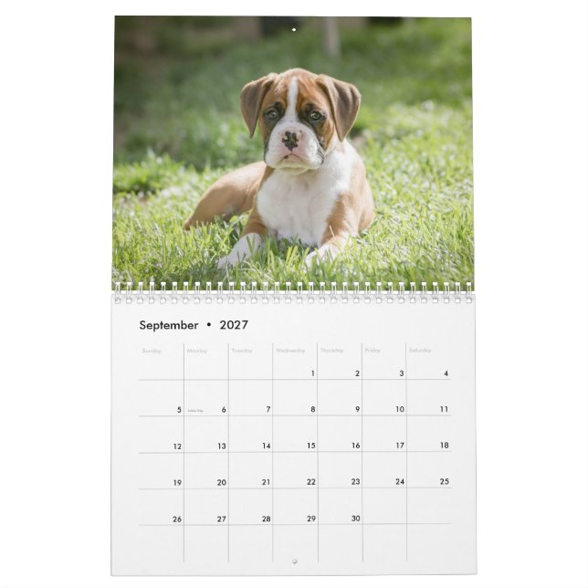 Calendario La vida de un perro del boxeador - perritos lindos (Sep 2027)