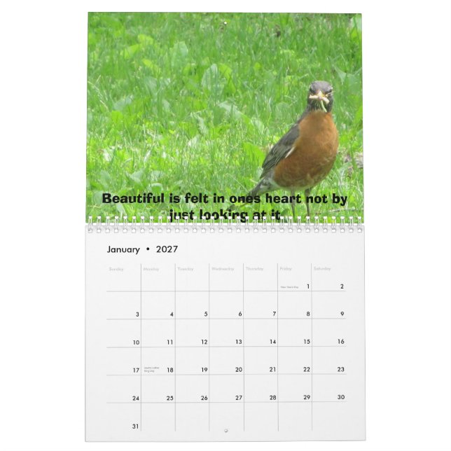 Calendario La vida es hermosa (Jan 2027)