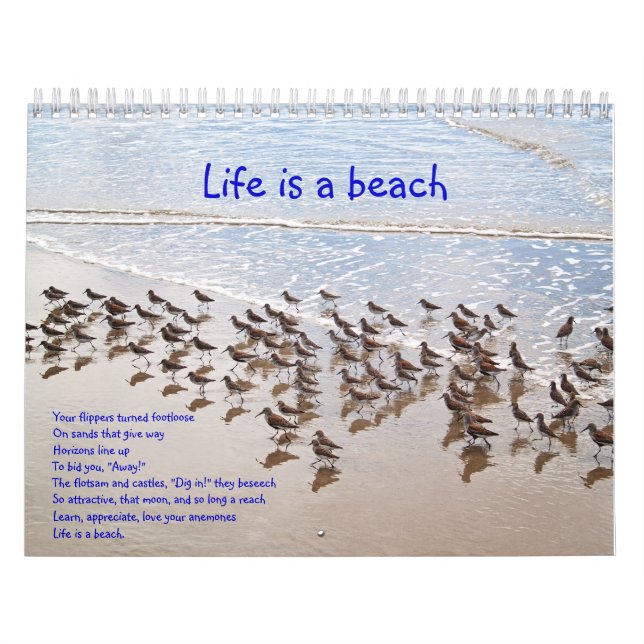 Calendario La vida es una playa de Calandar (Tapa)