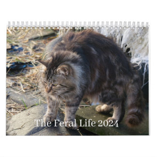 Calendario La vida salvaje 2024 Hermosos Gatos Naturales Cale