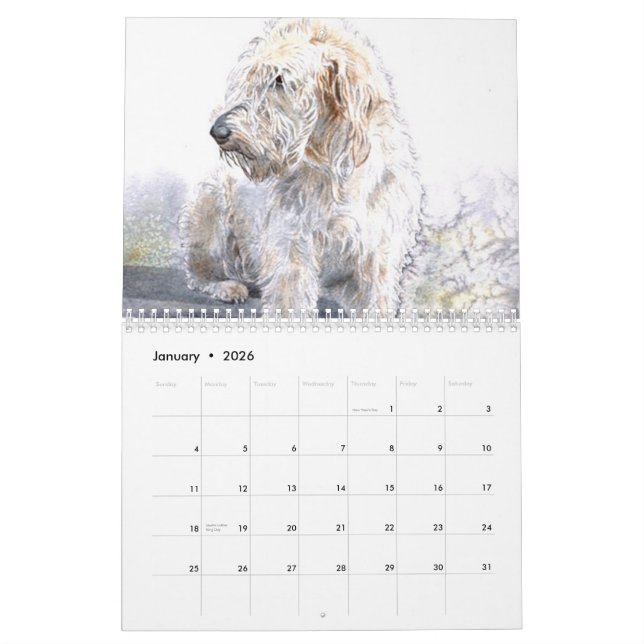 Calendario Labradoodles (Jan 2026)