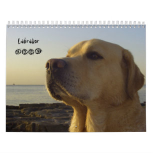 Calendario Labrador 2009