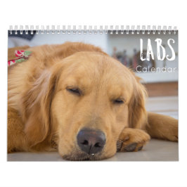calendario labrador 2023