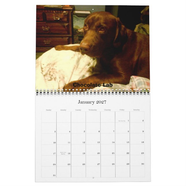 Calendario Labrador Recuperadores (Jan 2027)