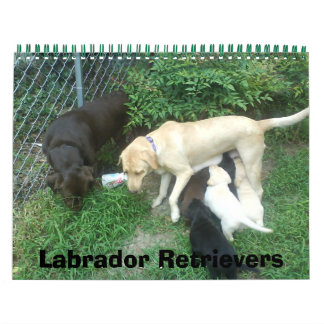 Calendario Labrador Recuperadores