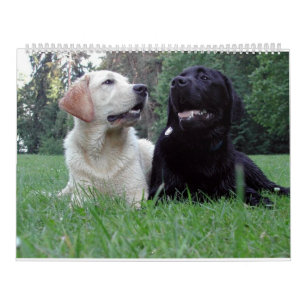 Calendario Labrador Retriever Calender