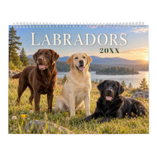 Calendario Labradores a través de las estaciones