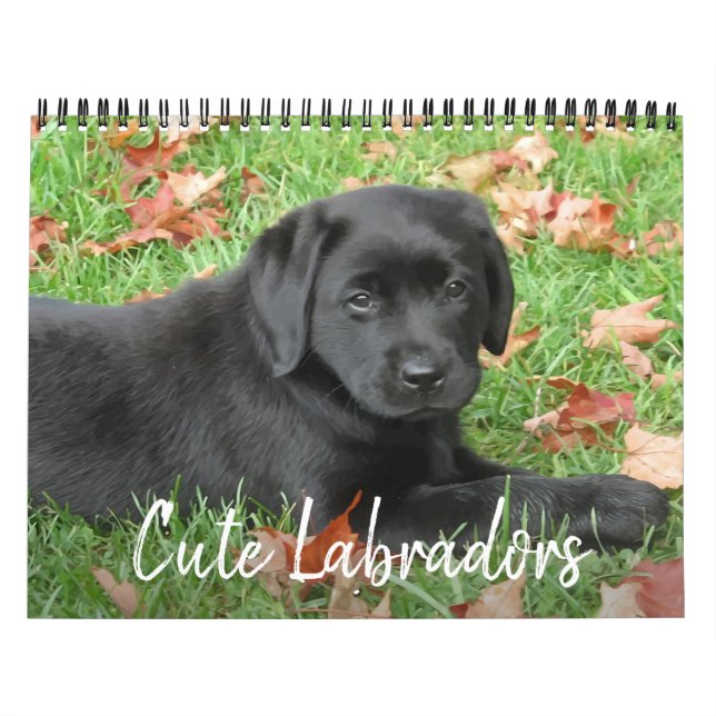 Calendario Labradores cutáneos - Perro recuperador de labrado (Tapa)