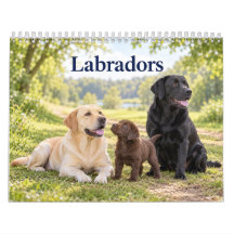 Labradores y cachorros de Labrador