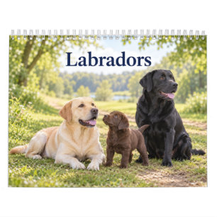 Calendario Labradores y cachorros de Labrador