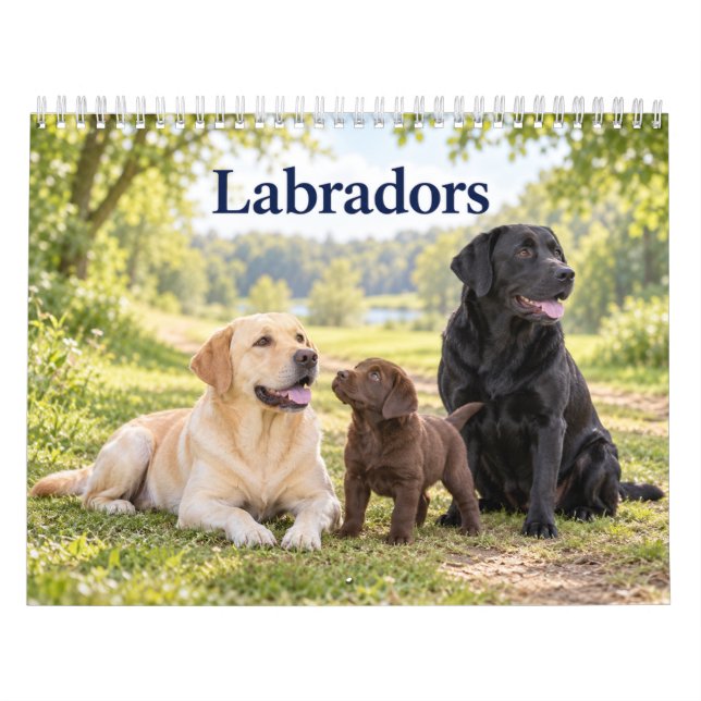 Calendario Labradores y cachorros de Labrador (Tapa)