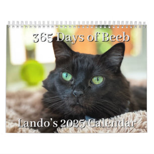 Calendario Lando 2025