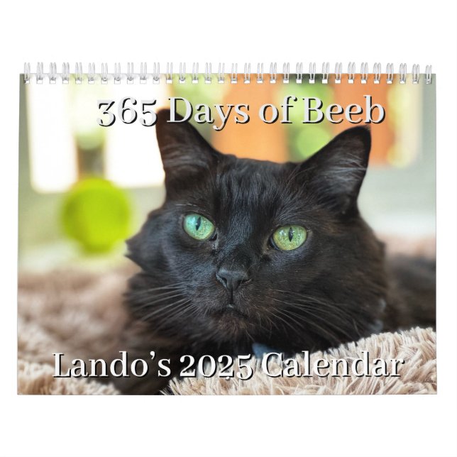 Calendario Lando 2025 (Tapa)