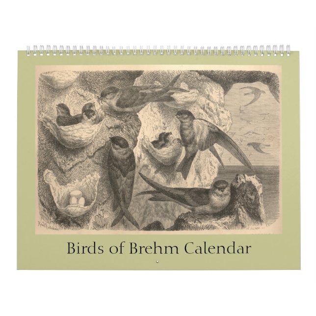 Calendario Las aves de Brehm (Tapa)