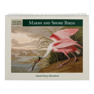 Calendario Las aves de marismas y costas de Audubon 2027
