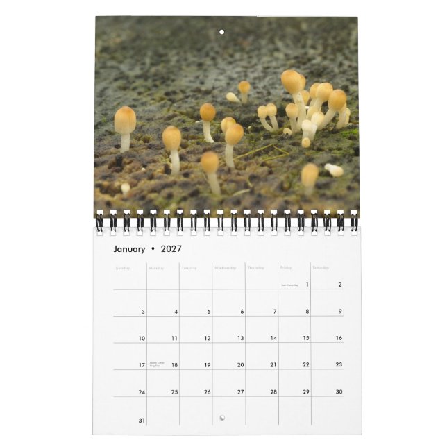 Calendario Las Encantadas (Jan 2027)