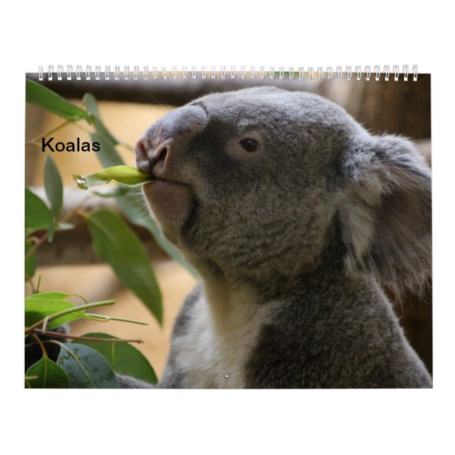 Calendario Las Koalas (Tapa)
