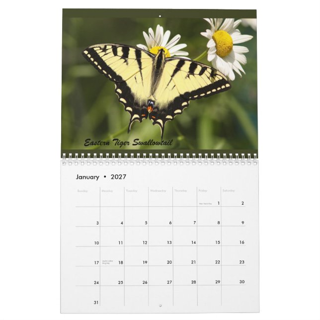 Calendario Las mariposas del Catskills (Jan 2027)
